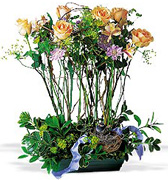 Happy Anniversary in Miami with the most beautiful and premium roses from Ecuador and Colombia to the United States, we deliver your Anniversary, Birthday, Get well soon, New Born flowers arrangements 7 days per week in Coral Gables, Pinecrest, South Miami, Miami Beach and all Miami