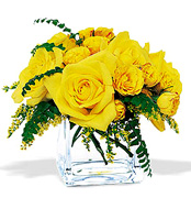 Happy Anniversary in Miami with the most beautiful and premium roses from Ecuador and Colombia to the United States, we deliver your Anniversary, Birthday, Get well soon, New Born flowers arrangements 7 days per week in Coral Gables, Pinecrest, South Miami, Miami Beach and all Miami