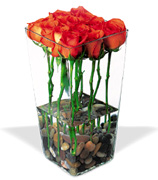 Feliz Aniversario con arreglos de primera calidad realizados con flores y rosas de Ecuador y Colombia, en vasos de cristal transparentes con un acabado perfecto. Terra Flowers de Miami entrega arreglos de flores y rosas para aniversario, cumpleanos, recien nacidos y fiestas en Coral Gables, Miami Beah, Pinecrest, South Miami, Aventura, Doral,... delivery toda la semana