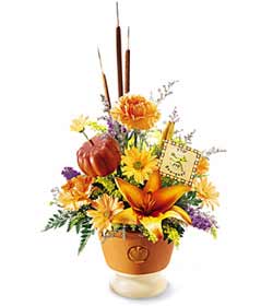 This fall bouquet arrives in a keepsake orange ceramic planter that is decorated with an embossed pumpkin. The arrangement features an orange lily surrounded by orange carnations, butterscotch daisy pompons, and more. Perfect for any Halloween celebration. 