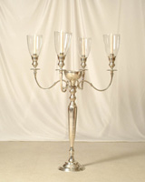 Reggina, it is the Queen of the Candelabras in Miami