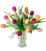 Elgant Tulips, just for Her...