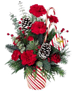 Miami Christmas: Candy canes, red carnations, seasonal greenery and snow-tipped pinecones all come together to create an arrangement thats brimming with Christmas spirit.  ORDER NOW