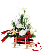 Miami Christmas: A nostalgic glimpse into winters gone by, and a whimsical nod to the child in all of us! Our charming, miniature Christmas Flyer sled is made of beautifully crafted wood, and arrives bearing a splendid helping of holiday cheer ORDER NOW