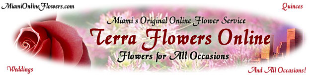 Terra Flowers Miami, Flores, rosas y arreglos florales para ocasiones importantes en Miami, rosas aniversarios, flores de cumpleanos, arreglos para desear buena salud, bouquets para novias centros de mesas para matrimonios, arreglos para recien nacidos, dia de las madres, navidad... ademas de un excelente servicio de Entrega a domicilio, Clinicas y Hospitales