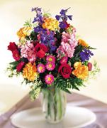 Happy Anniversary in Miami with the most beautiful and premium roses from Ecuador and Colombia to the United States, we deliver your Anniversary, Birthday, Get well soon, New Born flowers arrangements 7 days per week in Coral Gables, Pinecrest, South Miami, Miami Beach and all Miami
