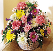 Birthday arrangements in Miami... Happy Birthday with the most fresh flowers arrangements and premium roses of Miami and all the United States... best wishes with Terra Flowers arrangement for birthday... We guarantee delivery to houses, offices, school, hospital in all the Miami area...