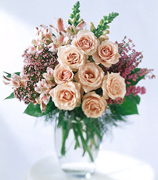 Birthday arrangements in Miami... Happy Birthday with the most fresh flowers arrangements and premium roses of Miami and all the United States... best wishes with Terra Flowers arrangement for birthday... We guarantee delivery to houses, offices, school, hospital in all the Miami area...