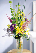 Birthday arrangements in Miami... Happy Birthday with the most fresh flowers arrangements and premium roses of Miami and all the United States... best wishes with Terra Flowers arrangement for birthday... We guarantee delivery to houses, offices, school, hospital in all the Miami area...