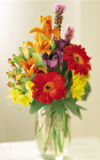 Birthday arrangements in Miami... Happy Birthday with the most fresh flowers arrangements and premium roses of Miami and all the United States... best wishes with Terra Flowers arrangement for birthday... We guarantee delivery to houses, offices, school, hospital in all the Miami area...