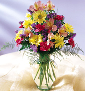 Birthday arrangements in Miami... Happy Birthday with the most fresh flowers arrangements and premium roses of Miami and all the United States... best wishes with Terra Flowers arrangement for birthday... We guarantee delivery to houses, offices, school, hospital in all the Miami area...