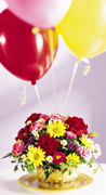 Birthday arrangements in Miami... Happy Birthday with the most fresh flowers arrangements and premium roses of Miami and all the United States... best wishes with Terra Flowers arrangement for birthday... We guarantee delivery to houses, offices, school, hospital in all the Miami area...