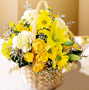 Birthday arrangements in Miami... Happy Birthday with the most fresh flowers arrangements and premium roses of Miami and all the United States... best wishes with Terra Flowers arrangement for birthday... We guarantee delivery to houses, offices, school, hospital in all the Miami area...