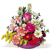 Birthday arrangements in Miami... Happy Birthday with the most fresh flowers arrangements and premium roses of Miami and all the United States... best wishes with Terra Flowers arrangement for birthday... We guarantee delivery to houses, offices, school, hospital in all the Miami area...