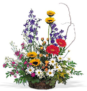 Birthday arrangements in Miami... Happy Birthday with the most fresh flowers arrangements and premium roses of Miami and all the United States... best wishes with Terra Flowers arrangement for birthday... We guarantee delivery to houses, offices, school, hospital in all the Miami area...