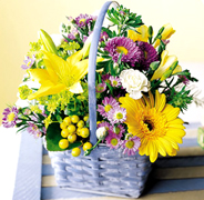 Birthday arrangements in Miami... Happy Birthday with the most fresh flowers arrangements and premium roses of Miami and all the United States... best wishes with Terra Flowers arrangement for birthday... We guarantee delivery to houses, offices, school, hospital in all the Miami area...