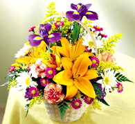 Birthday arrangements in Miami... Happy Birthday with the most fresh flowers arrangements and premium roses of Miami and all the United States... best wishes with Terra Flowers arrangement for birthday... We guarantee delivery to houses, offices, school, hospital in all the Miami area...