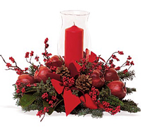 Miami Merry Christmas with the best flowers of the USA... Send your best regards, christmas wishes and all the best with FLOWERS and ROSES arrangements by Terraflowers...