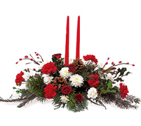 Miami Merry Christmas with the best flowers of the USA... Send your best regards, christmas wishes and all the best with FLOWERS and ROSES arrangements by Terraflowers...