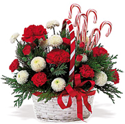 Miami Merry Christmas with the best flowers of the USA... Send your best regards, christmas wishes and all the best with FLOWERS and ROSES arrangements by Terraflowers...