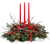 Miami Merry Christmas with the best flowers of the USA... Send your best regards, christmas wishes and all the best with FLOWERS and ROSES arrangements by Terraflowers...