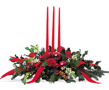 Miami Merry Christmas with the best flowers of the USA... Send your best regards, christmas wishes and all the best with FLOWERS and ROSES arrangements by Terraflowers...