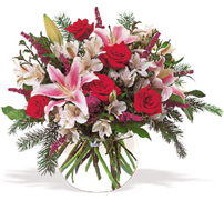 Miami Merry Christmas with the best flowers of the USA... Send your best regards, christmas wishes and all the best with FLOWERS and ROSES arrangements by Terraflowers...