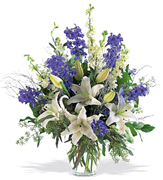 Miami Merry Christmas with the best flowers of the USA... Send your best regards, christmas wishes and all the best with FLOWERS and ROSES arrangements by Terraflowers...