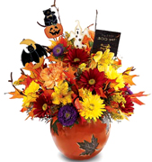 Booooo-Quuuueeet and more funny arrangement in Terra flowers ... WE ARE LOCATED IN MIAMI