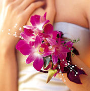 Reserve your 100% NATURAL Prom Boutonniere, Corsage or Wristlet using our Online Form or just Call us 305 - 264 5999. We deliver to your home or you can pick up... Enjoy our customer service...