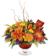 Miami flowers, roses and arrangements fall for THANKSGIVING a perfect gift for yhis family season... Enjoy Miami Thanksgiving with our premier flowers, roses, fillers and exclusive fall design arrangements... Terraflowers offers the very best arrangements to enjoy THANKSGIVING with our family...