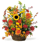 Miami flowers, roses and arrangements fall for THANKSGIVING a perfect gift for yhis family season... Enjoy Miami Thanksgiving with our premier flowers, roses, fillers and exclusive fall design arrangements... Terraflowers offers the very best arrangements to enjoy THANKSGIVING with our family...