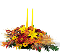 Miami flowers, roses and arrangements fall for THANKSGIVING a perfect gift for yhis family season... Enjoy Miami Thanksgiving with our premier flowers, roses, fillers and exclusive fall design arrangements... Terraflowers offers the very best arrangements to enjoy THANKSGIVING with our family...