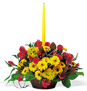 Miami flowers, roses and arrangements fall for THANKSGIVING a perfect gift for yhis family season... Enjoy Miami Thanksgiving with our premier flowers, roses, fillers and exclusive fall design arrangements... Terraflowers offers the very best arrangements to enjoy THANKSGIVING with our family...