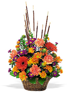 Miami flowers, roses and arrangements fall for THANKSGIVING a perfect gift for yhis family season... Enjoy Miami Thanksgiving with our premier flowers, roses, fillers and exclusive fall design arrangements... Terraflowers offers the very best arrangements to enjoy THANKSGIVING with our family...