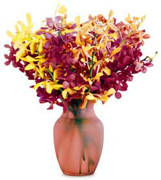 Miami flowers, roses and arrangements fall for THANKSGIVING a perfect gift for yhis family season... Enjoy Miami Thanksgiving with our premier flowers, roses, fillers and exclusive fall design arrangements... Terraflowers offers the very best arrangements to enjoy THANKSGIVING with our family...