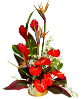 GREAT AND UNIQUE TROPICAL FLOWERS - only the best flowers and perfect arrangements by Terraflowers ...QUALITY AND PERFECTION we guarantee deliver anywhere in Miami... Terra Flowers design customized flowers and roses arrangements for Mother's day using only the very best and fresh flowers impoted from Ecuador... VIP service for our customers...