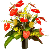 Very big tropical arrangement... Terraflowers will use all the best we have to create a perfect tropical arrangement... GREAT AND UNIQUE TROPICAL FLOWERS - only the best flowers and perfect arrangements by Terraflowers ...QUALITY AND PERFECTION we guarantee deliver anywhere in Miami... Terra Flowers design customized flowers and roses arrangements for Mother's day using only the very best and fresh flowers impoted from Ecuador... VIP service for our customers...