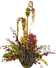 EXCLUSIVE Miami TROPICAL arrangement with EXOTICS and unique flowers, bird of paradise, blue orchids, ginger, anturios, callas,... only VIP tropical and exotic flowers for your VIP SPECIAL OCCASION... customized design, flowers and rustic base used for this unique Piece of Art... HIGH SIZE... ORDER THIS Tropical Designs...