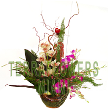 EXCLUSIVE Miami TROPICAL arrangement with EXOTICS and unique flowers, bird of paradise, blue orchids, ginger, anturios, callas,... only VIP tropical and exotic flowers for your VIP SPECIAL OCCASION... customized design, flowers and rustic base used for this unique Piece of Art... HIGH SIZE... ORDER THIS Tropical Designs...