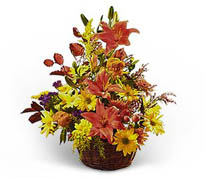 Miami flowers, roses and arrangements fall for THANKSGIVING a perfect gift for yhis family season... Enjoy Miami Thanksgiving with our premier flowers, roses, fillers and exclusive fall design arrangements... Terraflowers offers the very best arrangements to enjoy THANKSGIVING with our family...