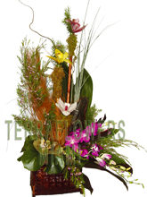 EXCLUSIVE Miami TROPICAL arrangement with EXOTICS and unique flowers, bird of paradise, blue orchids, ginger, anturios, callas,... only VIP tropical and exotic flowers for your VIP SPECIAL OCCASION... customized design, flowers and rustic base used for this unique Piece of Art... HIGH SIZE... ORDER THIS Tropical Designs...