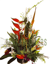 EXCLUSIVE Miami TROPICAL arrangement with EXOTICS and unique flowers, bird of paradise, blue orchids, ginger, anturios, callas,... only VIP tropical and exotic flowers for your VIP SPECIAL OCCASION... customized design, flowers and rustic base used for this unique Piece of Art... HIGH SIZE... ORDER THIS Tropical Designs...