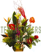 EXCLUSIVE Miami TROPICAL arrangement with EXOTICS and unique flowers, bird of paradise, blue orchids, ginger, anturios, callas,... only VIP tropical and exotic flowers for your VIP SPECIAL OCCASION... customized design, flowers and rustic base used for this unique Piece of Art... HIGH SIZE... ORDER THIS Tropical Designs...