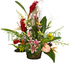 EXCLUSIVE Miami TROPICAL arrangement with EXOTICS and unique flowers, bird of paradise, blue orchids, ginger, anturios, callas,... only VIP tropical and exotic flowers for your VIP SPECIAL OCCASION... customized design, flowers and rustic base used for this unique Piece of Art... HIGH SIZE... ORDER THIS Tropical Designs...