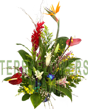 EXCLUSIVE Miami TROPICAL arrangement with EXOTICS and unique flowers, bird of paradise, blue orchids, ginger, anturios, callas,... only VIP tropical and exotic flowers for your VIP SPECIAL OCCASION... customized design, flowers and rustic base used for this unique Piece of Art... HIGH SIZE... ORDER THIS Tropical Designs...