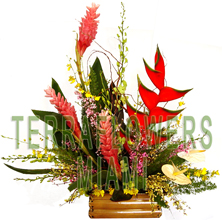 EXCLUSIVE Miami TROPICAL arrangement with EXOTICS and unique flowers, bird of paradise, blue orchids, ginger, anturios, callas,... only VIP tropical and exotic flowers for your VIP SPECIAL OCCASION... customized design, flowers and rustic base used for this unique Piece of Art... HIGH SIZE... ORDER THIS Tropical Designs...