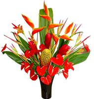 Very big tropical arrangement... Terraflowers will use all the best we have to create a perfect tropical arrangement... GREAT AND UNIQUE TROPICAL FLOWERS - FREE DELIVERY FOR ORDERS ONLINE JUST FOR MOTHER'S DAY!!!!!!! ENJOY IT - ORDER NOW !!!!