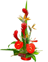 GREAT AND UNIQUE TROPICAL FLOWERS - FREE DELIVERY FOR ORDERS ONLINE JUST FOR MOTHER'S DAY!!!!!!! ENJOY IT - ORDER NOW !!!!