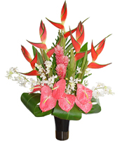 Perfect, exotics and tropical flowers arrangements by Terra Flowers, ..Be exclusive GREAT AND UNIQUE TROPICAL FLOWERS - FREE DELIVERY FOR ORDERS ONLINE JUST FOR MOTHER'S DAY!!!!!!! ENJOY IT - ORDER NOW !!!!